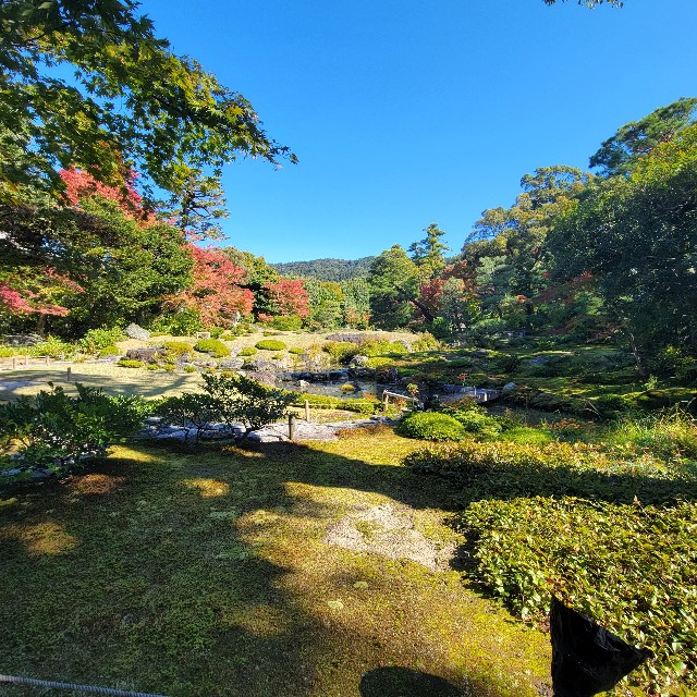 f:id:atoriatoriatori:20221114121433j:image f:id:atoriatoriatori:20221114121433j:image