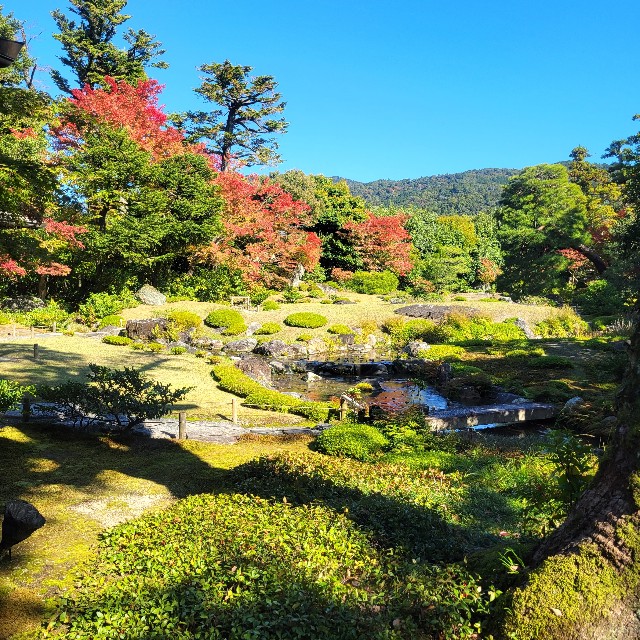 f:id:atoriatoriatori:20221114121440j:image f:id:atoriatoriatori:20221114121440j:image