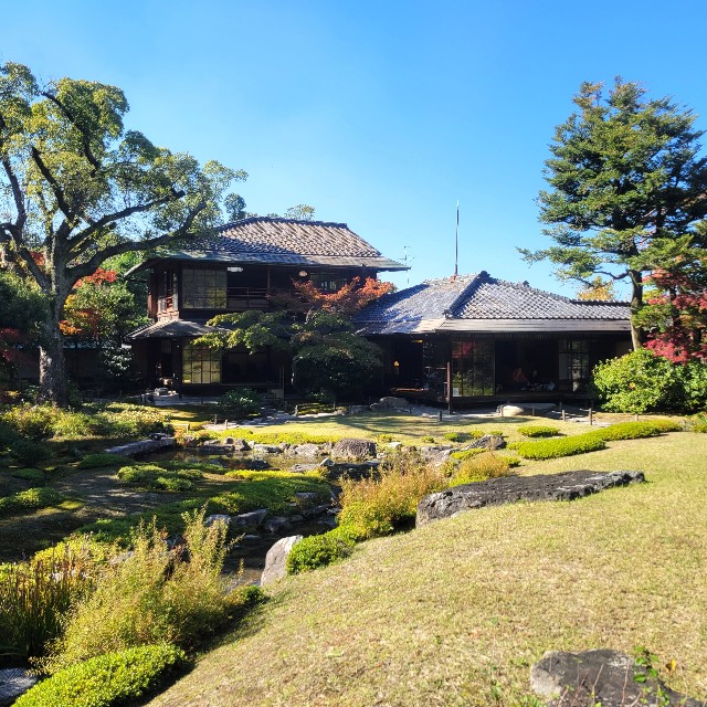 f:id:atoriatoriatori:20221114122634j:image f:id:atoriatoriatori:20221114122634j:image