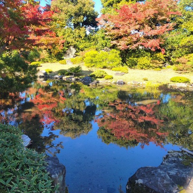 f:id:atoriatoriatori:20221114122641j:image f:id:atoriatoriatori:20221114122641j:image