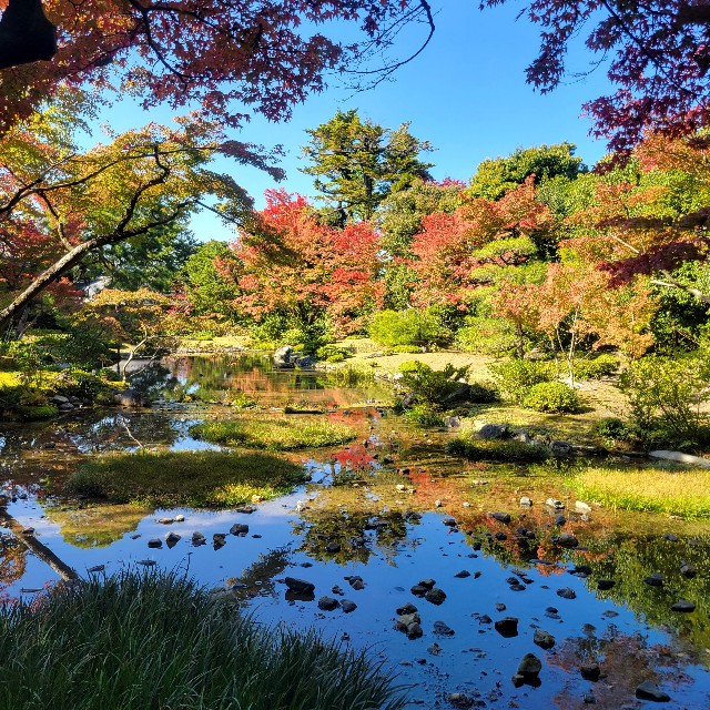 f:id:atoriatoriatori:20221114141010j:image f:id:atoriatoriatori:20221114141010j:image