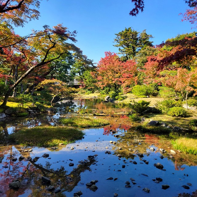 f:id:atoriatoriatori:20221114141018j:image f:id:atoriatoriatori:20221114141018j:image