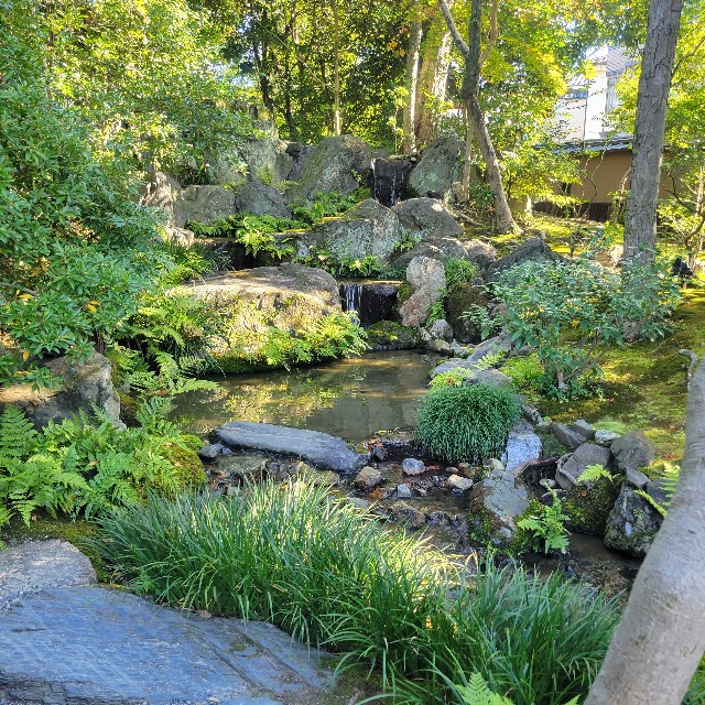 f:id:atoriatoriatori:20221114141029j:image f:id:atoriatoriatori:20221114141029j:image