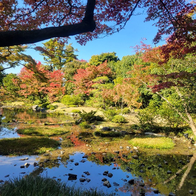 f:id:atoriatoriatori:20221114141505j:image f:id:atoriatoriatori:20221114141505j:image