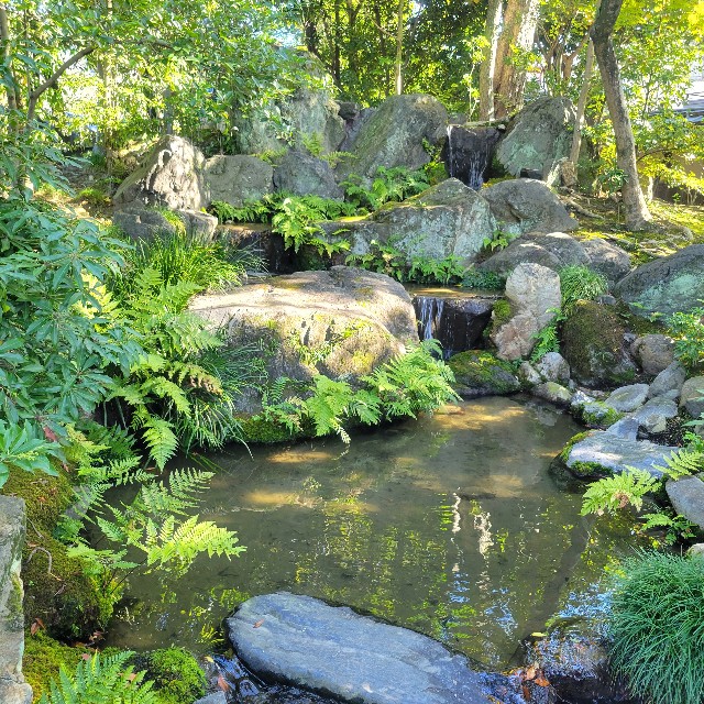 f:id:atoriatoriatori:20221114142149j:image f:id:atoriatoriatori:20221114142149j:image