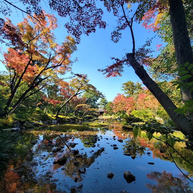 f:id:atoriatoriatori:20221114142202j:image f:id:atoriatoriatori:20221114142202j:image