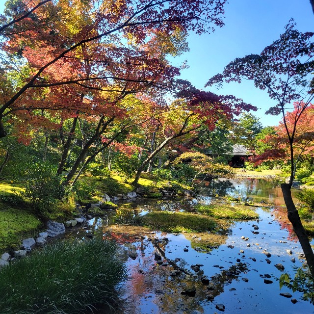 f:id:atoriatoriatori:20221114142209j:image f:id:atoriatoriatori:20221114142209j:image