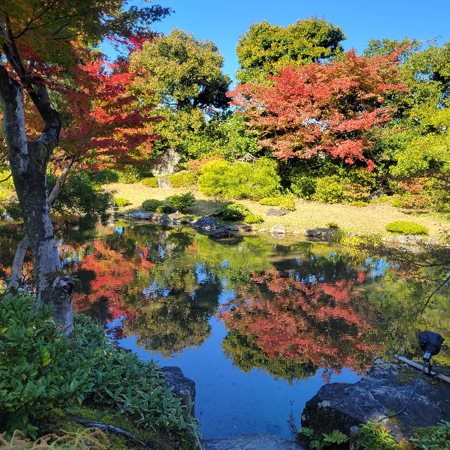 f:id:atoriatoriatori:20221114142657j:image f:id:atoriatoriatori:20221114142657j:image