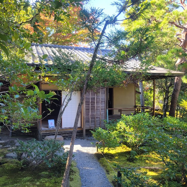 f:id:atoriatoriatori:20221114163253j:image f:id:atoriatoriatori:20221114163253j:image