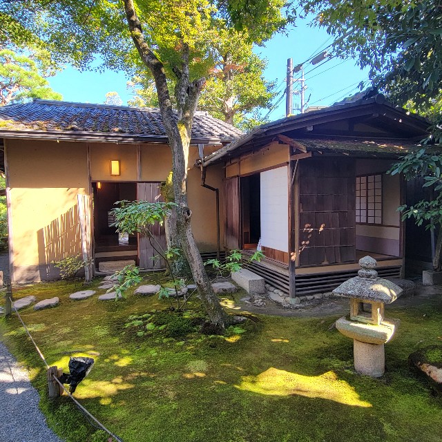 f:id:atoriatoriatori:20221114163310j:image f:id:atoriatoriatori:20221114163310j:image