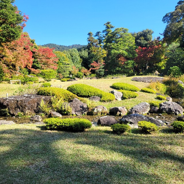 f:id:atoriatoriatori:20221114163328j:image f:id:atoriatoriatori:20221114163328j:image