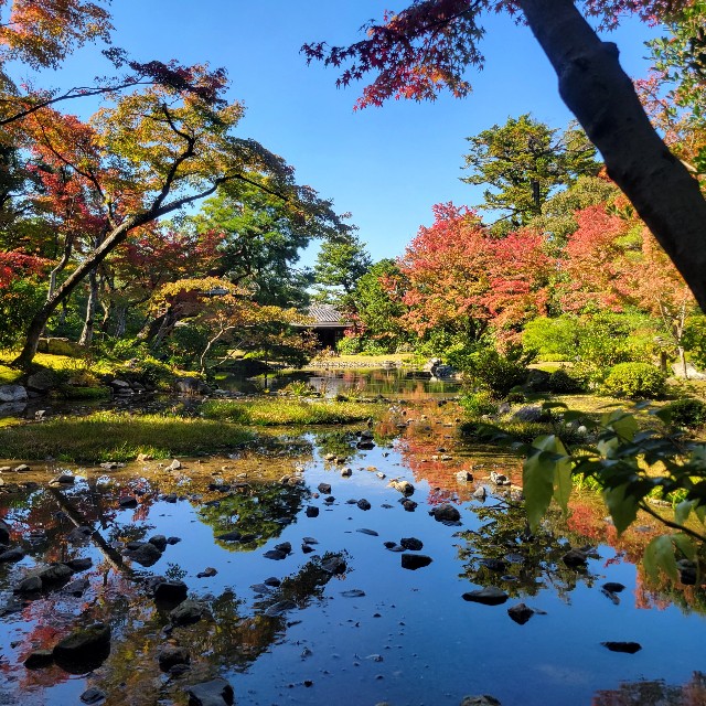 f:id:atoriatoriatori:20221114165839j:image f:id:atoriatoriatori:20221114165839j:image