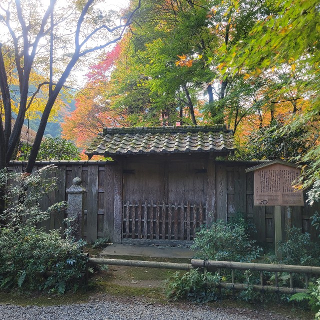 f:id:atoriatoriatori:20221116214420j:image