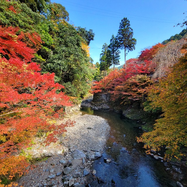 f:id:atoriatoriatori:20221121204110j:image