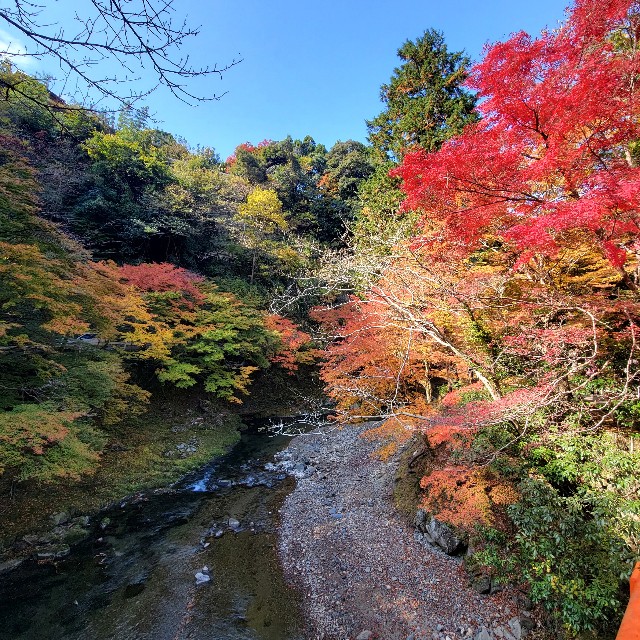 f:id:atoriatoriatori:20221121204132j:image