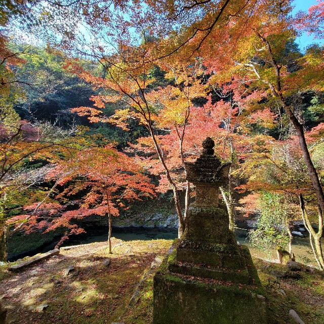 f:id:atoriatoriatori:20221121204906j:image