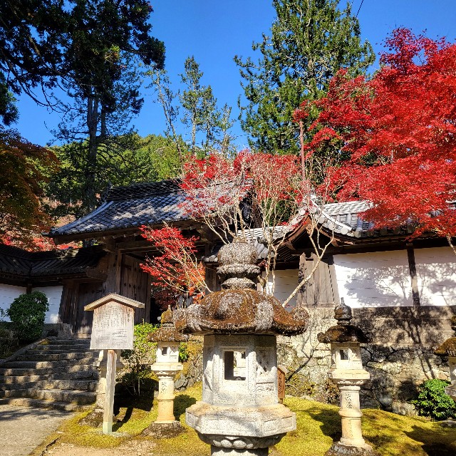 f:id:atoriatoriatori:20221121205310j:image