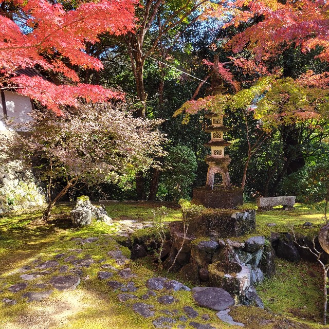 f:id:atoriatoriatori:20221121215758j:image