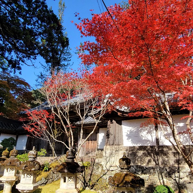 f:id:atoriatoriatori:20221121215811j:image