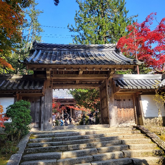 f:id:atoriatoriatori:20221121215825j:image