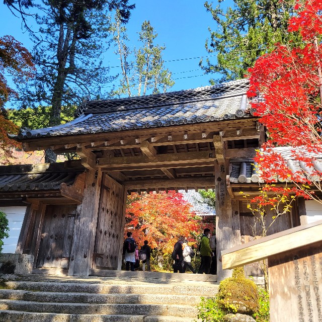 f:id:atoriatoriatori:20221121221019j:image