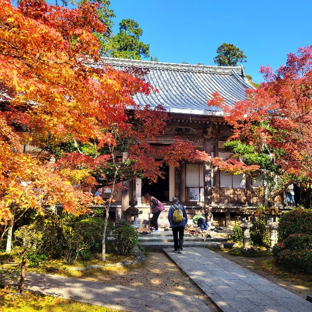 f:id:atoriatoriatori:20221122084217j:image