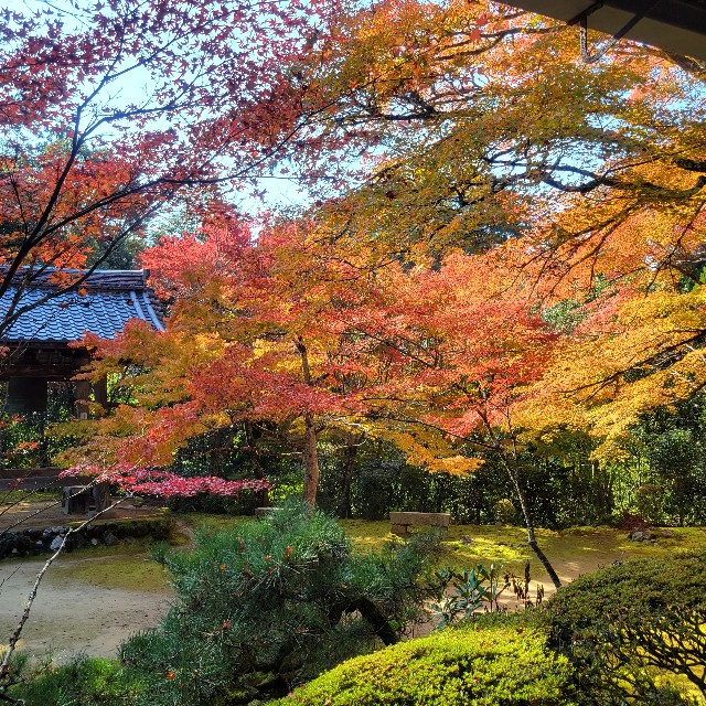 f:id:atoriatoriatori:20221122085906j:image