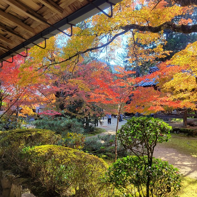 f:id:atoriatoriatori:20221122090147j:image