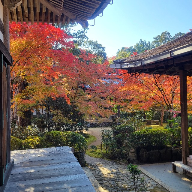 f:id:atoriatoriatori:20221122095155j:image