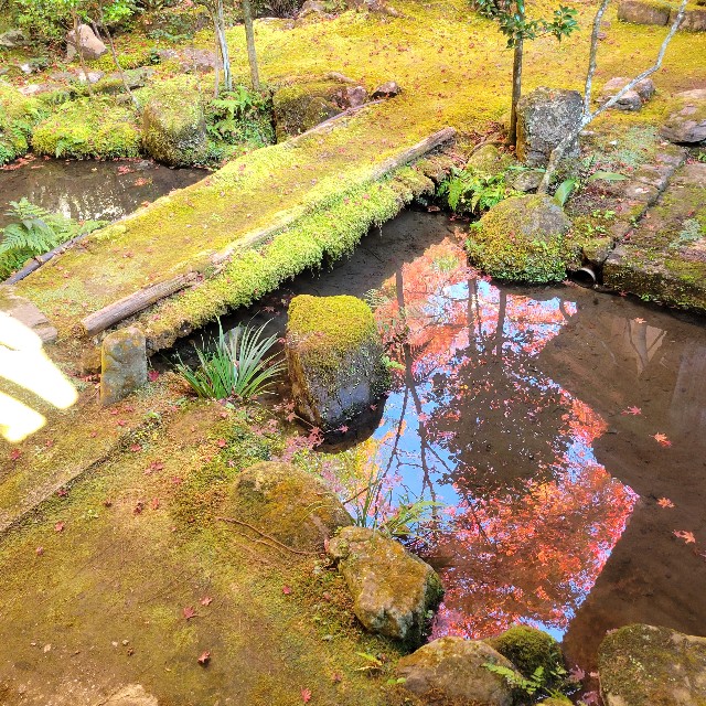 f:id:atoriatoriatori:20221122095223j:image