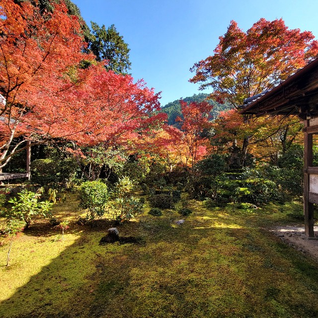 f:id:atoriatoriatori:20221122100008j:image