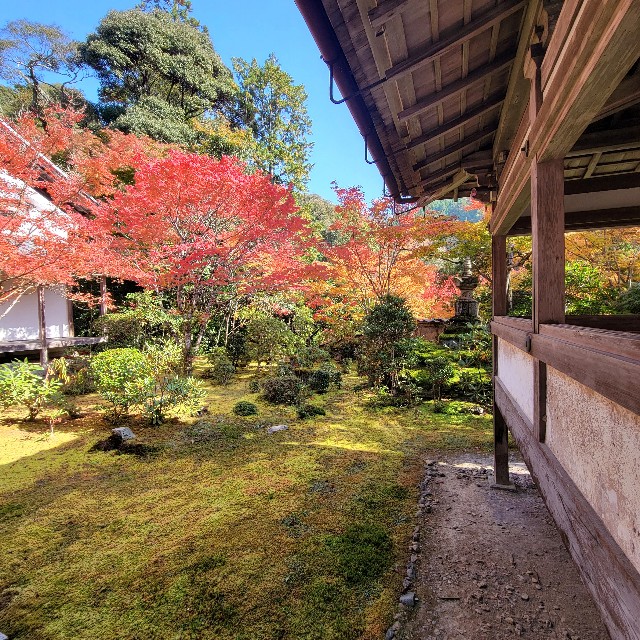 f:id:atoriatoriatori:20221122100021j:image