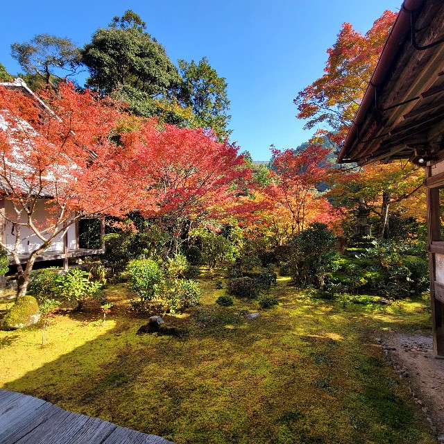 f:id:atoriatoriatori:20221122100050j:image