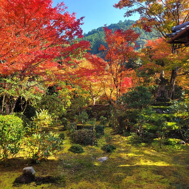 f:id:atoriatoriatori:20221122100229j:image