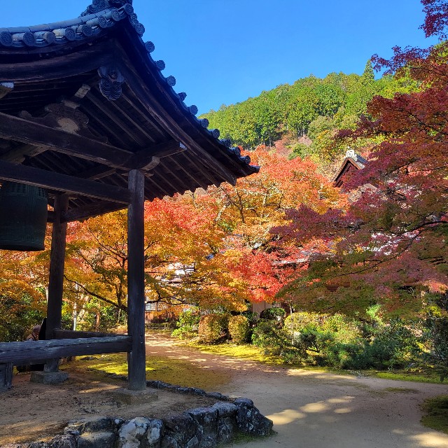 f:id:atoriatoriatori:20221122104101j:image