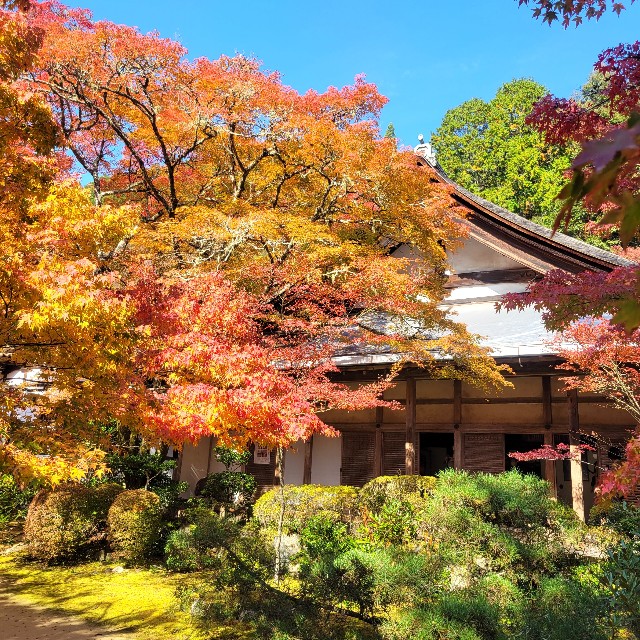 f:id:atoriatoriatori:20221122104115j:image