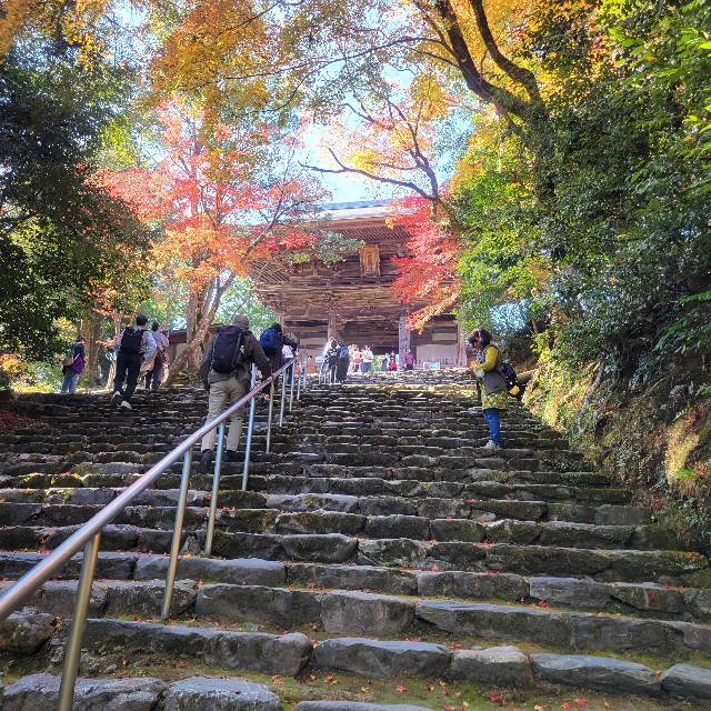 f:id:atoriatoriatori:20221126090525j:image f:id:atoriatoriatori:20221126090525j:image