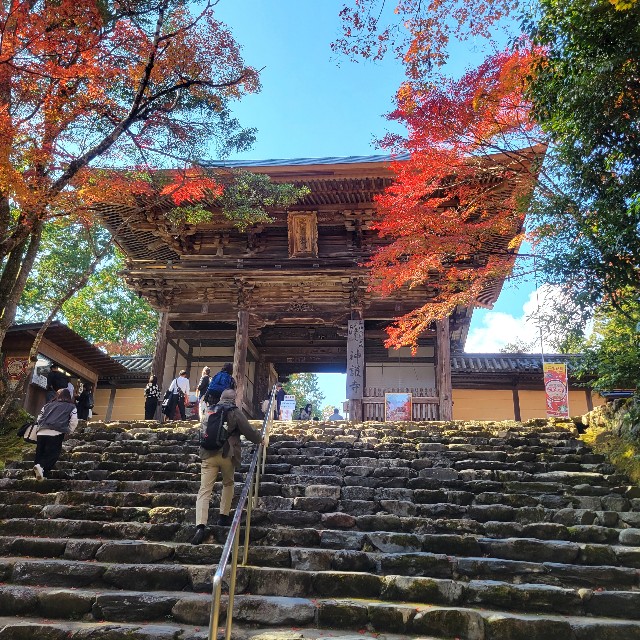 f:id:atoriatoriatori:20221126091412j:image f:id:atoriatoriatori:20221126091412j:image