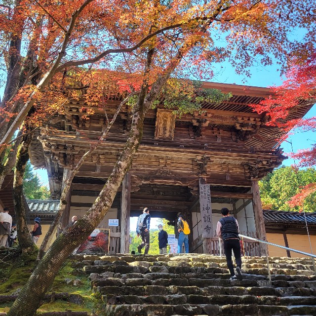 f:id:atoriatoriatori:20221126091855j:image f:id:atoriatoriatori:20221126091855j:image