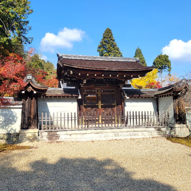 f:id:atoriatoriatori:20221126092249j:image f:id:atoriatoriatori:20221126092249j:image