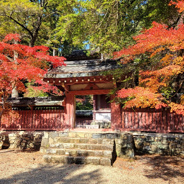 f:id:atoriatoriatori:20221126100250j:image f:id:atoriatoriatori:20221126100250j:image