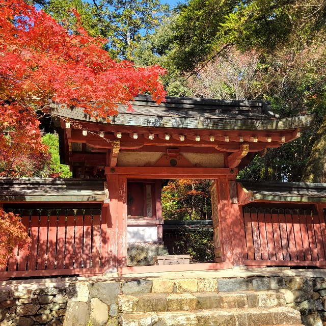 f:id:atoriatoriatori:20221126101054j:image f:id:atoriatoriatori:20221126101054j:image