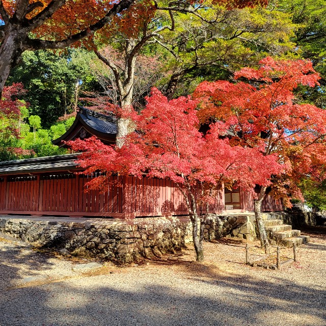 f:id:atoriatoriatori:20221126101102j:image f:id:atoriatoriatori:20221126101102j:image