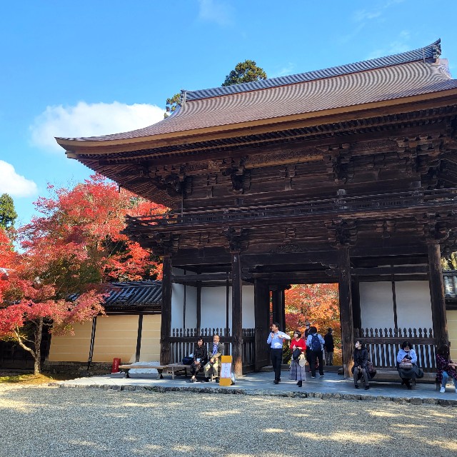 f:id:atoriatoriatori:20221126101212j:image f:id:atoriatoriatori:20221126101212j:image