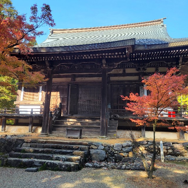 f:id:atoriatoriatori:20221126110722j:image f:id:atoriatoriatori:20221126110722j:image