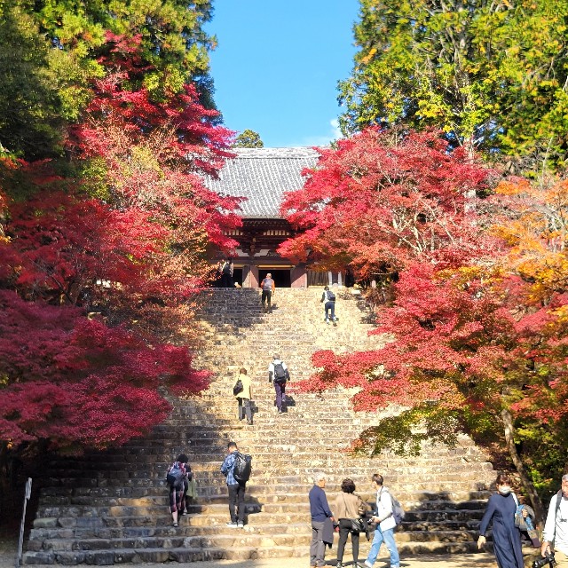 f:id:atoriatoriatori:20221126111655j:image f:id:atoriatoriatori:20221126111655j:image