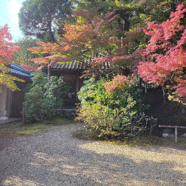 f:id:atoriatoriatori:20221126113127j:image f:id:atoriatoriatori:20221126113127j:image