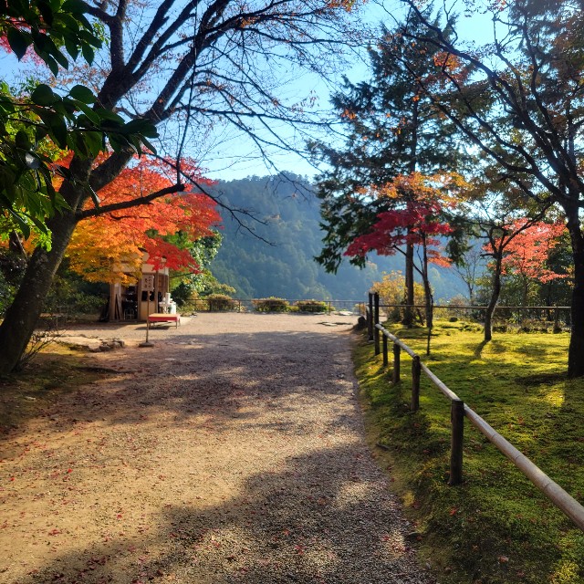 f:id:atoriatoriatori:20221126113139j:image f:id:atoriatoriatori:20221126113139j:image