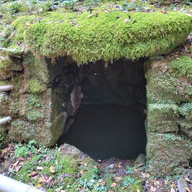 f:id:atoriatoriatori:20221126113155j:image f:id:atoriatoriatori:20221126113155j:image