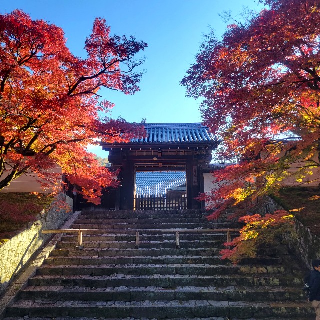 f:id:atoriatoriatori:20221128105426j:image